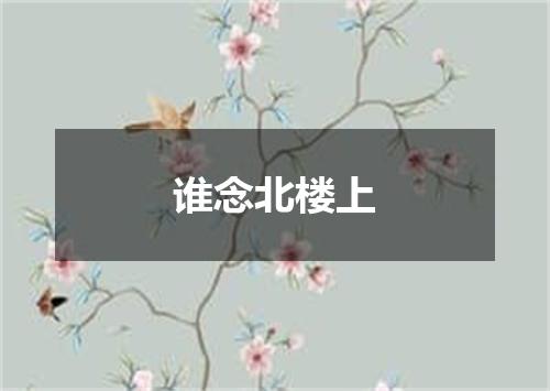 谁念北楼上