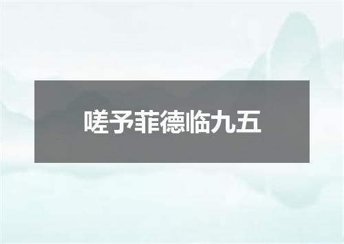 嗟予菲德临九五