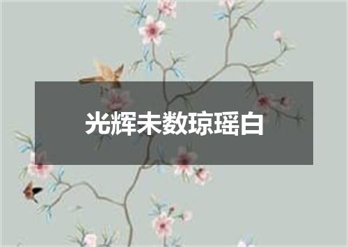 光辉未数琼瑶白