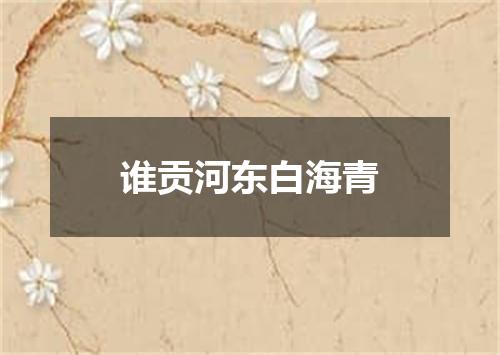 谁贡河东白海青