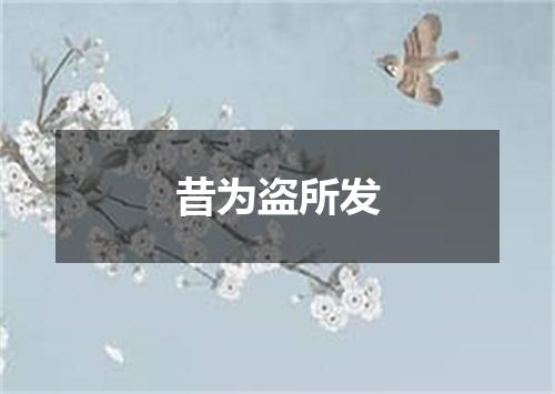 昔为盗所发