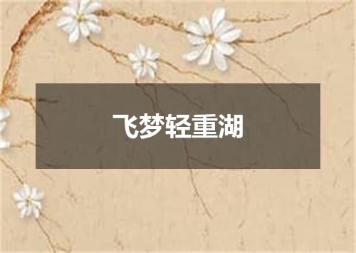 飞梦轻重湖