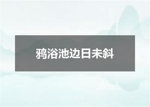 鸦浴池边日未斜