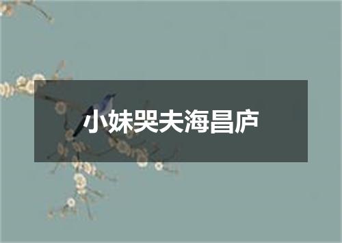 小妹哭夫海昌庐