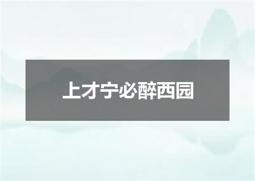 上才宁必醉西园