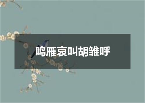 鸣雁哀叫胡雏呼