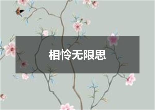 相怜无限思