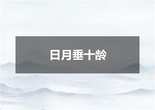 日月垂十龄