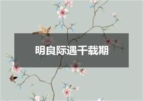 明良际遇千载期