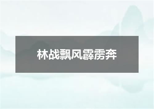 林战飘风霹雳奔