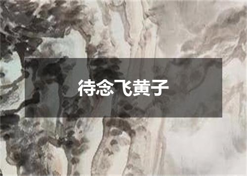 待念飞黄子
