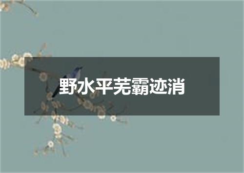 野水平芜霸迹消