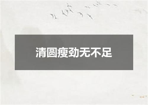 清圆瘦劲无不足