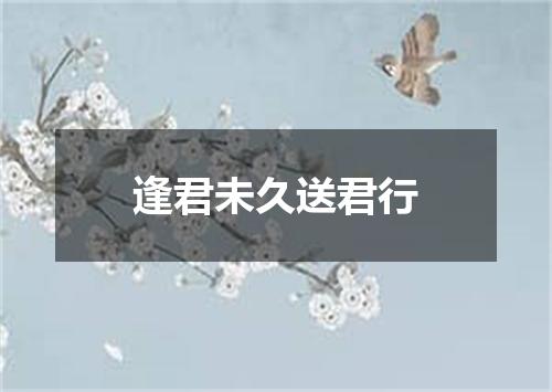 逢君未久送君行