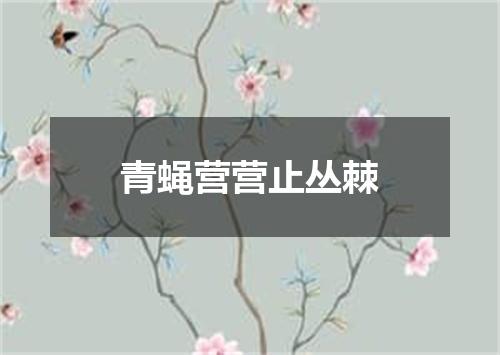 青蝇营营止丛棘