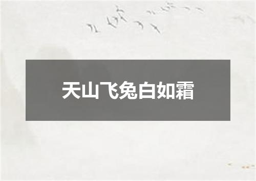 天山飞兔白如霜