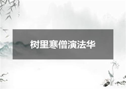 树里寒僧演法华