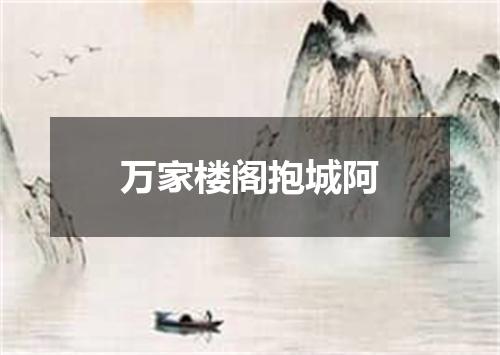 万家楼阁抱城阿