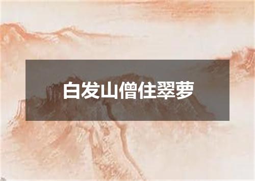 白发山僧住翠萝