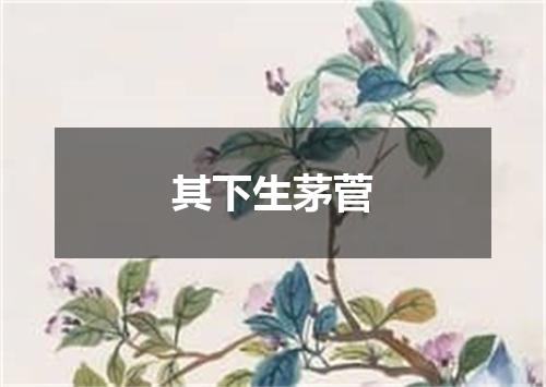 其下生茅菅