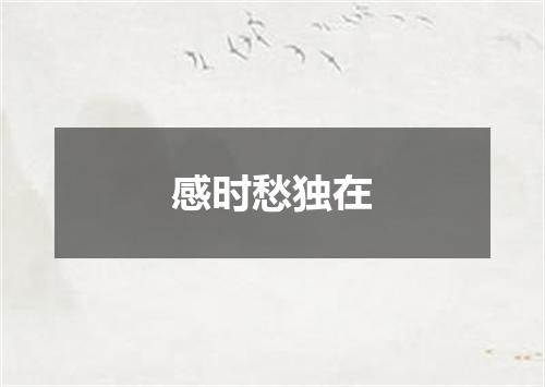 感时愁独在