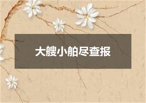 大艘小舶尽查报