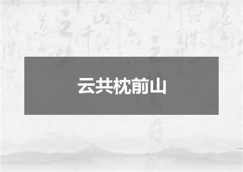 云共枕前山