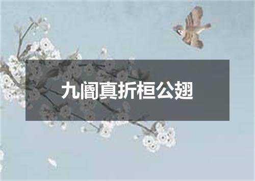 九阍真折桓公翅