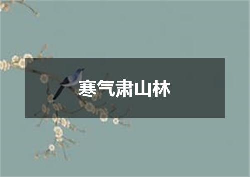 寒气肃山林