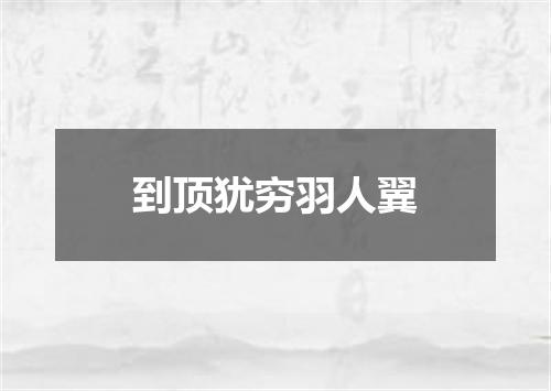 到顶犹穷羽人翼