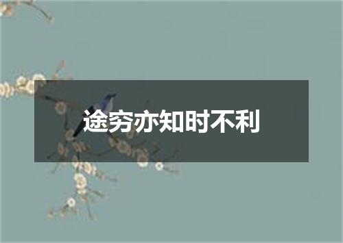 途穷亦知时不利