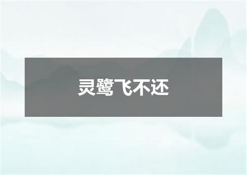 灵鹭飞不还