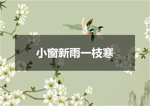 小窗新雨一枝寒