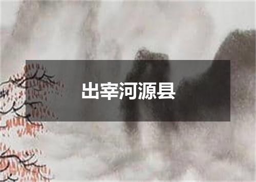 出宰河源县