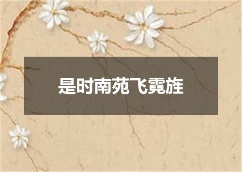 是时南苑飞霓旌