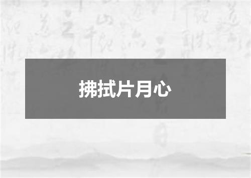 拂拭片月心