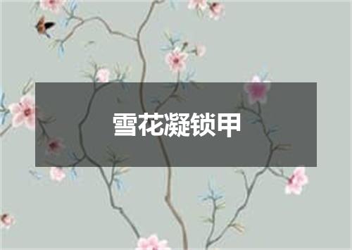 雪花凝锁甲