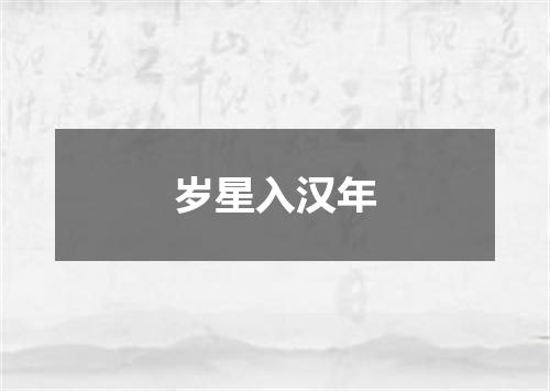 岁星入汉年