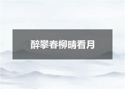 醉攀春柳晴看月