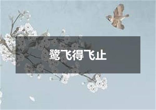 鹭飞得飞止