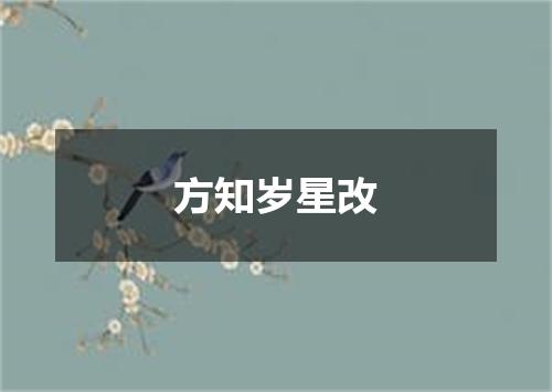 方知岁星改