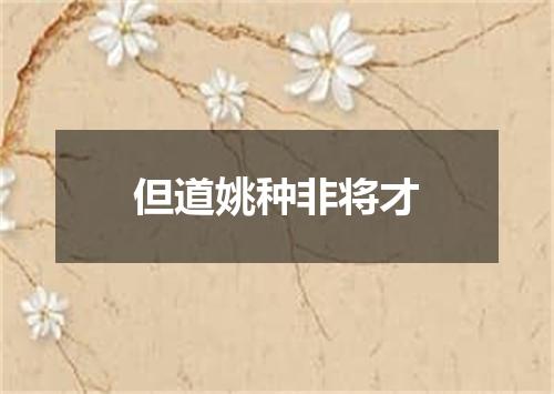 但道姚种非将才