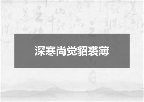 深寒尚觉貂裘薄