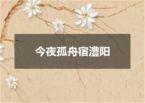 今夜孤舟宿澧阳