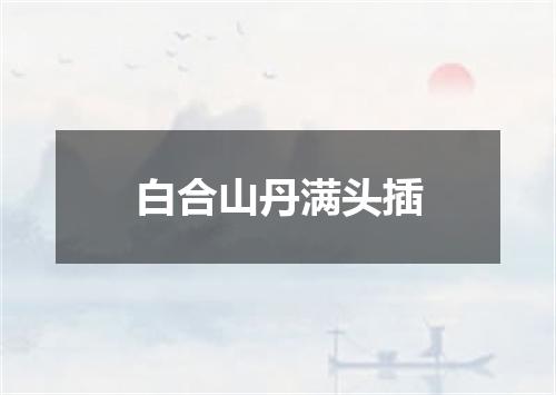 白合山丹满头插