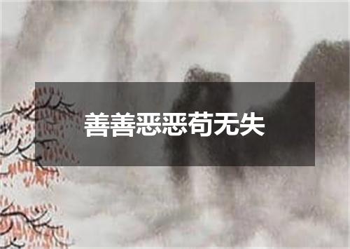 善善恶恶苟无失