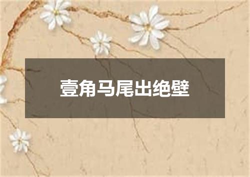 壹角马尾出绝壁