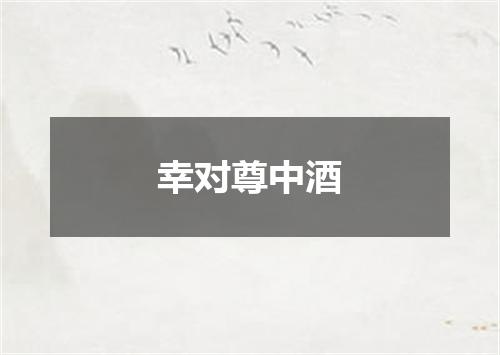 幸对尊中酒