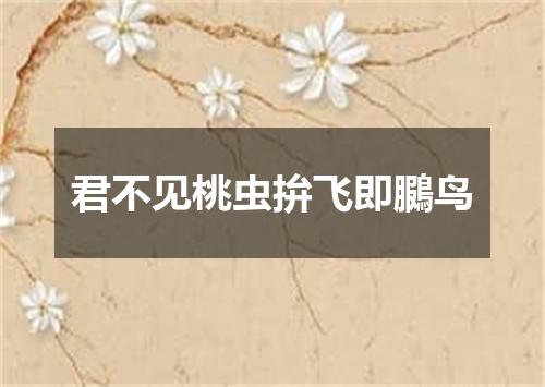 君不见桃虫拚飞即鵩鸟