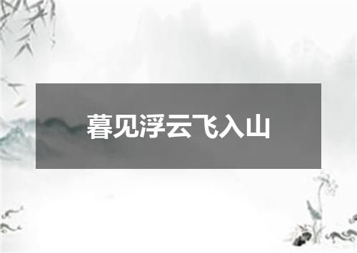 暮见浮云飞入山